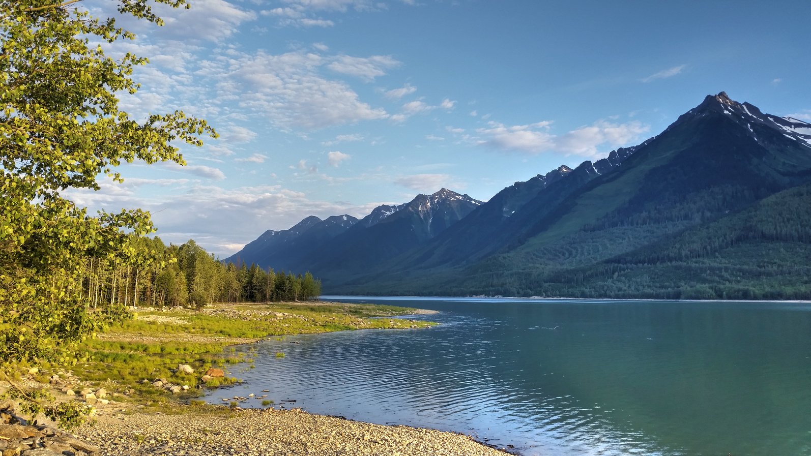 Canoe Reach, Kinbasket Lake with Mount Thompson, Valemount, B.C.